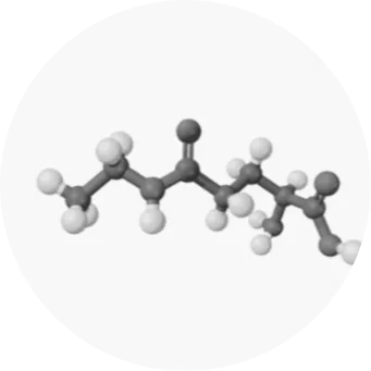 Natural Enzymes Kiwi Optimize's Ingredients